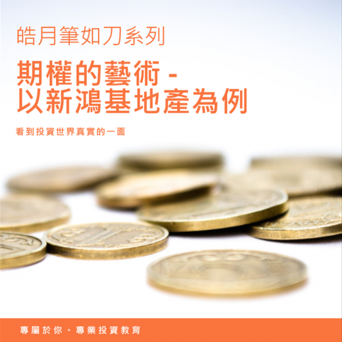 期權的藝術 - 以新鴻基地產為例